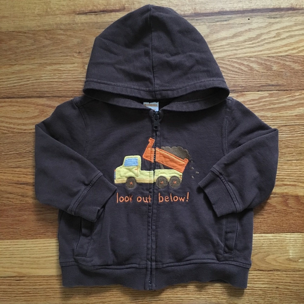 Gymboree graphic hoodie sweatshirt